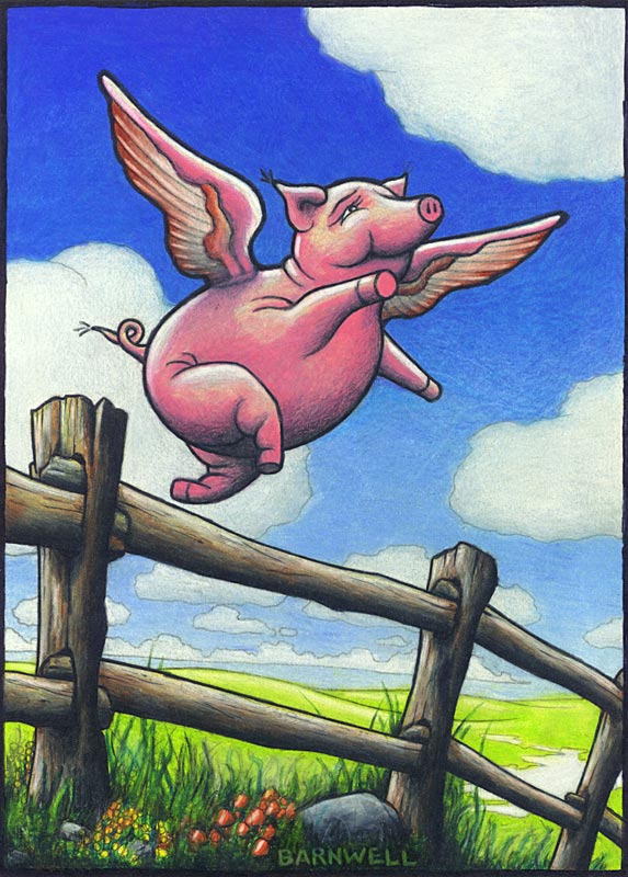 Flying Pig by Stephen Barnwell