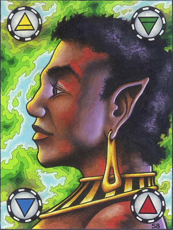 Warden of the Four Elements by Stephen Barnwell