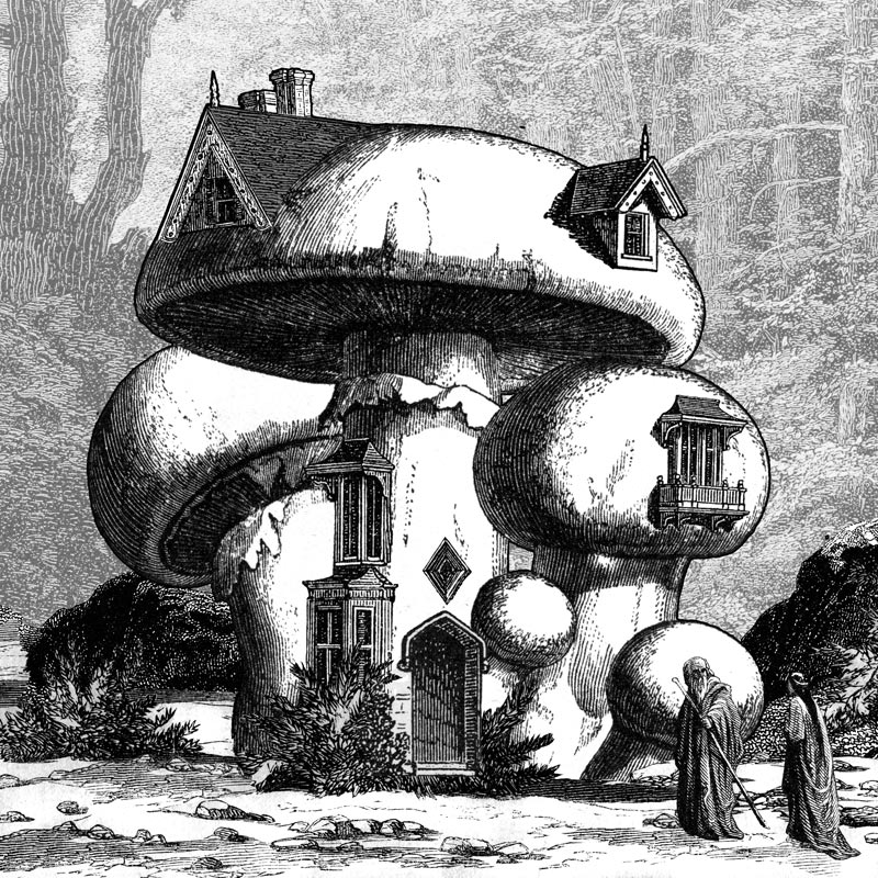 Mushroom House